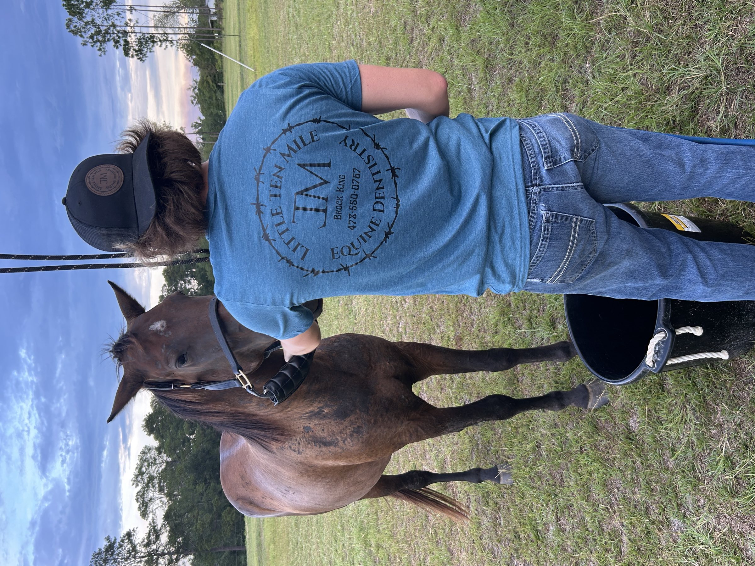 Haltering a horse in the pasture at dusk