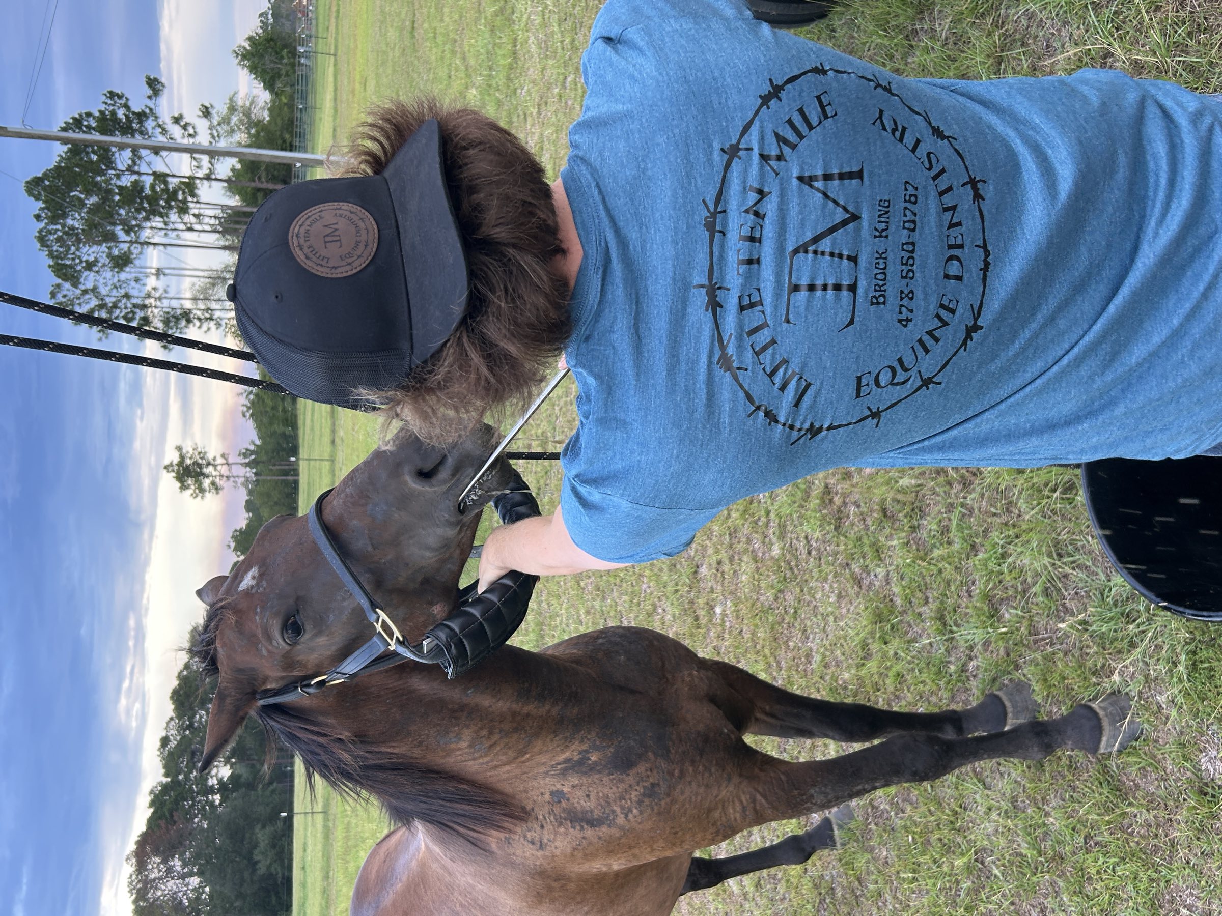 Working with a horse in an open pasture